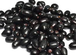 Black Plum(Syzygium cumini)